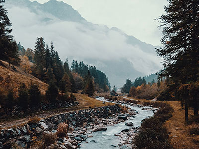 17c.tw体检卡：问题导语是不是先下判断，动作把前提补一句，提示读完更清楚